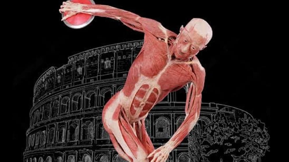 Real Bodies reopening!